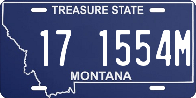 MT license plate 171554M