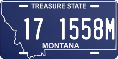 MT license plate 171558M