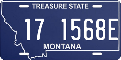 MT license plate 171568E
