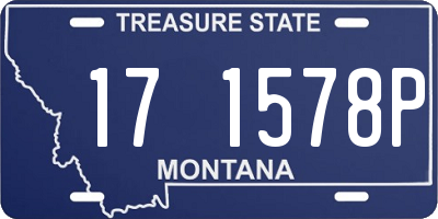 MT license plate 171578P