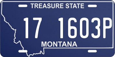 MT license plate 171603P