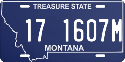 MT license plate 171607M