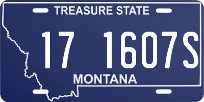 MT license plate 171607S
