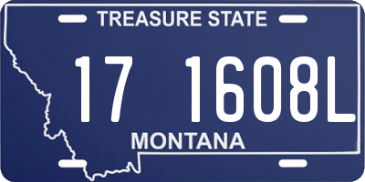 MT license plate 171608L