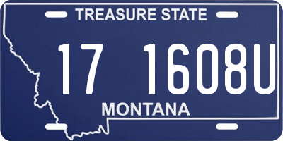 MT license plate 171608U