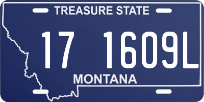 MT license plate 171609L