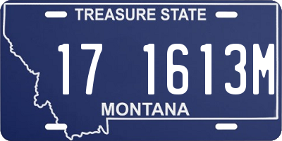 MT license plate 171613M