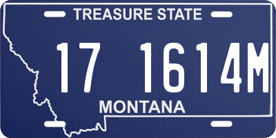 MT license plate 171614M