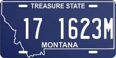 MT license plate 171623M