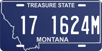 MT license plate 171624M