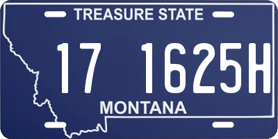 MT license plate 171625H