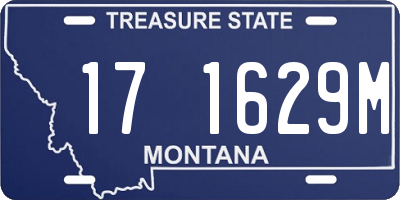 MT license plate 171629M