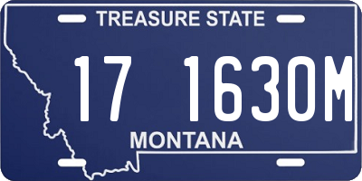 MT license plate 171630M