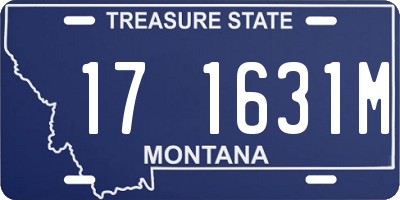 MT license plate 171631M