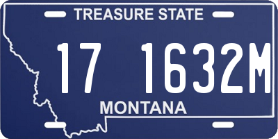 MT license plate 171632M