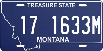 MT license plate 171633M