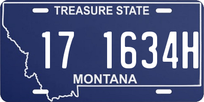 MT license plate 171634H