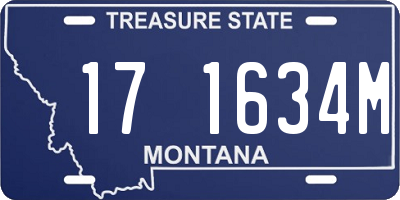MT license plate 171634M