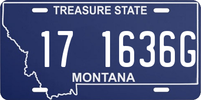 MT license plate 171636G