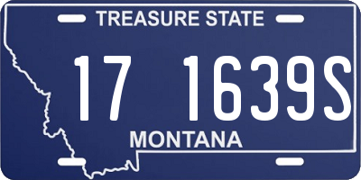 MT license plate 171639S