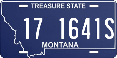 MT license plate 171641S