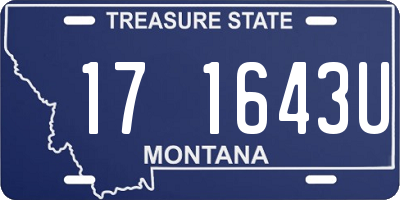 MT license plate 171643U