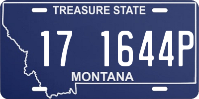 MT license plate 171644P