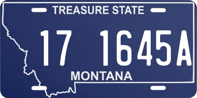 MT license plate 171645A