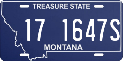 MT license plate 171647S