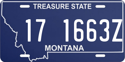 MT license plate 171663Z