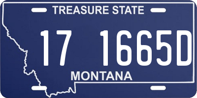 MT license plate 171665D