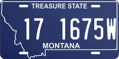 MT license plate 171675W