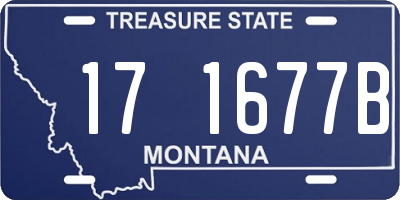 MT license plate 171677B