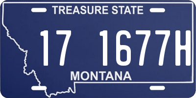 MT license plate 171677H