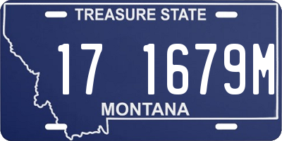 MT license plate 171679M