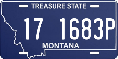 MT license plate 171683P