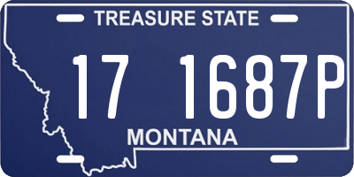 MT license plate 171687P