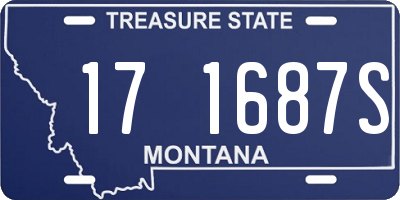 MT license plate 171687S