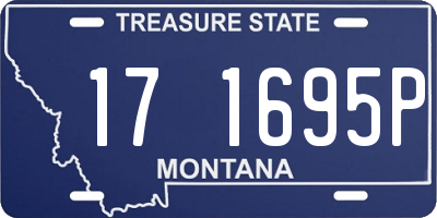 MT license plate 171695P
