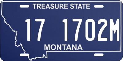 MT license plate 171702M