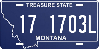 MT license plate 171703L