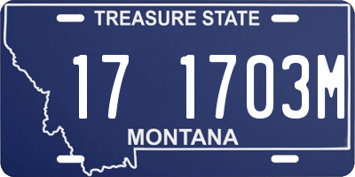 MT license plate 171703M