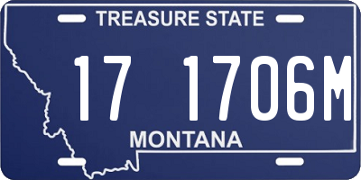 MT license plate 171706M