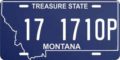 MT license plate 171710P