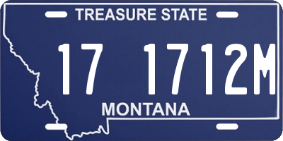 MT license plate 171712M