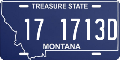 MT license plate 171713D