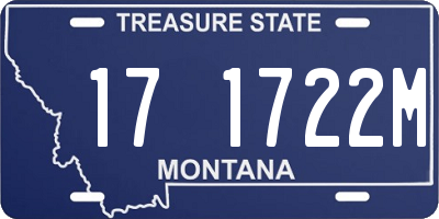 MT license plate 171722M