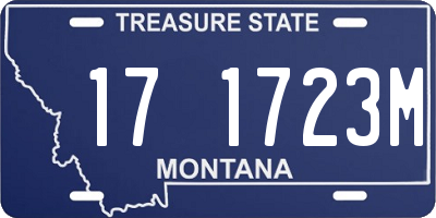 MT license plate 171723M