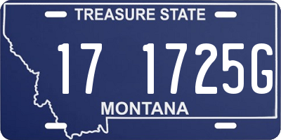 MT license plate 171725G