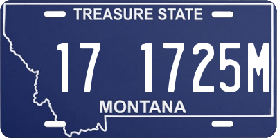 MT license plate 171725M
